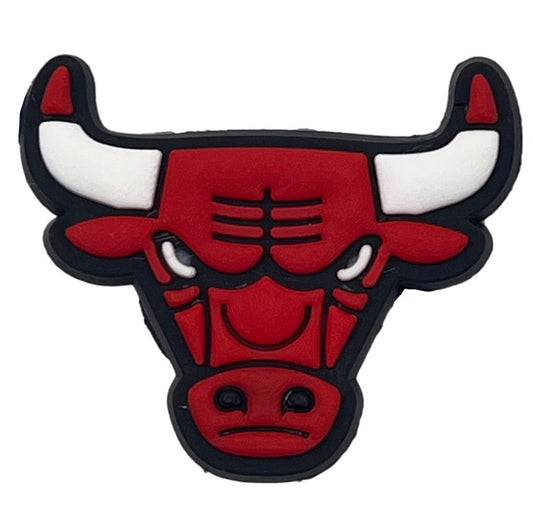 0293 - Chicago Bulls