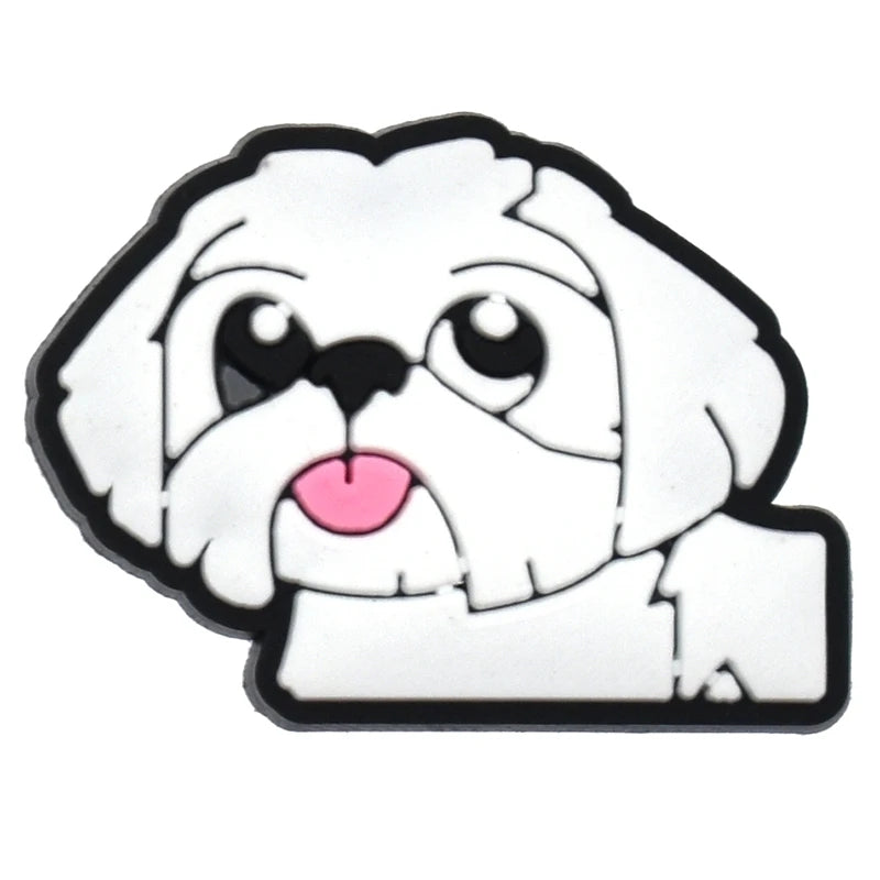 Maltese Shih Tzu